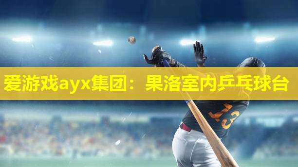 爱游戏ayx集团：果洛室内乒乓球台