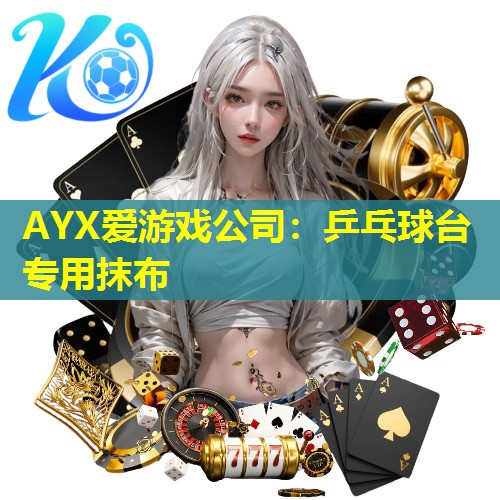 AYX爱游戏公司：乒乓球台专用抹布