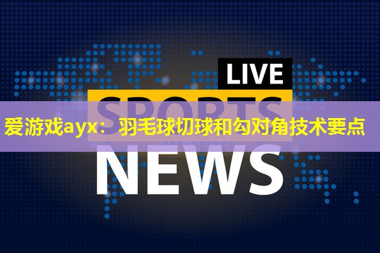 爱游戏ayx：羽毛球切球和勾对角技术要点