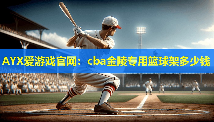 AYX爱游戏官网：cba金陵专用篮球架多少钱