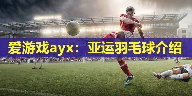 爱游戏ayx：亚运羽毛球介绍