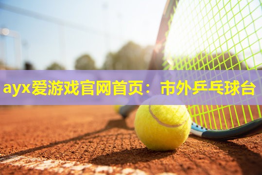 市外乒乓球台 市外乒乓球台