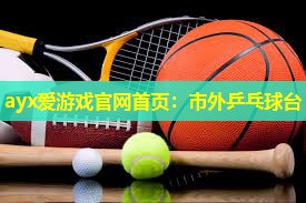 市外乒乓球台 市外乒乓球台