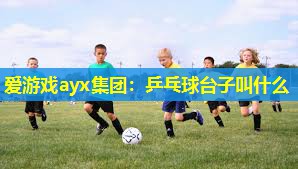 乒乓球台子叫什么 乒乓球台子叫什么