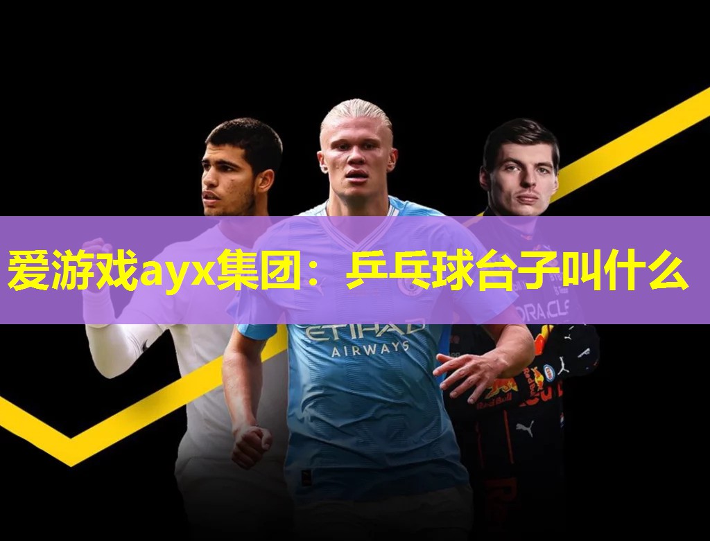 乒乓球台子叫什么 乒乓球台子叫什么