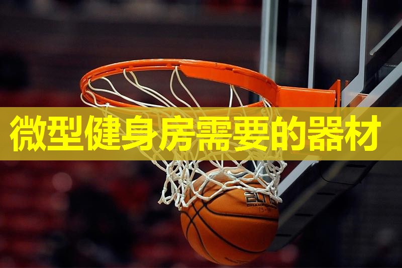 微型健身房需要的器材 微型健身房需要的器材