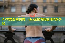 cba金陵专用篮球架多少钱