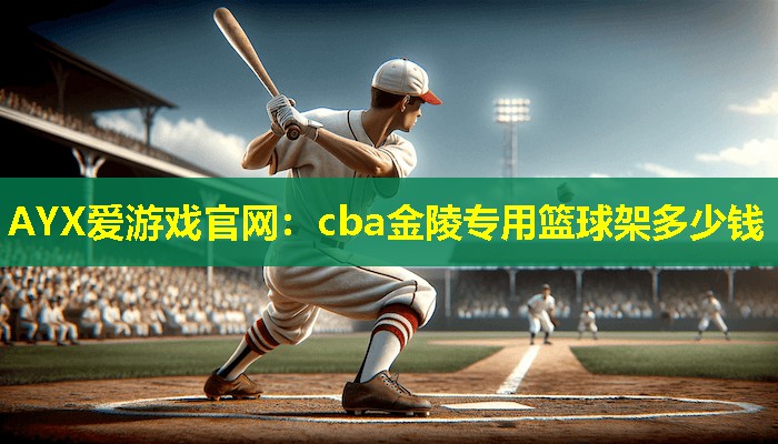 cba金陵专用篮球架多少钱