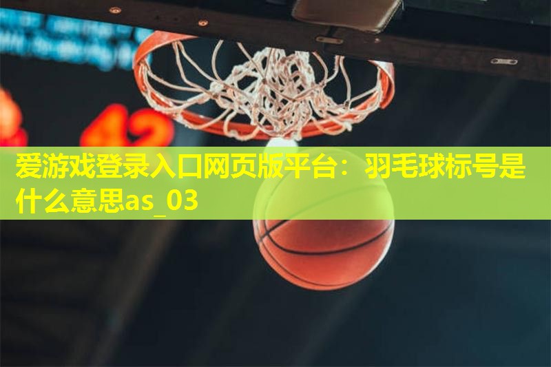 羽毛球标号是什么意思as_03